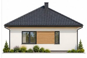 X51 - Projekt parterowego bliźniaka dwulokalowego z dachem czterospadowym, bez garażu / 7
