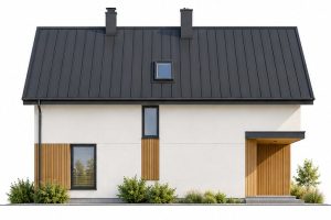 X49 - Projekt domu w stylu nowoczesnej stodoły na wąską działkę z dodatkowym pokojem na parterze / 6